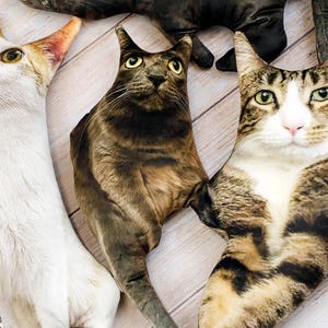 Cadeaux de Noël amusants - Coussin personnalisé en forme de chat/chien laid | Oreiller de forme 3D pour animaux de compagnie | Oreiller personnalisé pour animal de compagnie | Cadeau commémoratif pour la perte d'un animal de compagnie