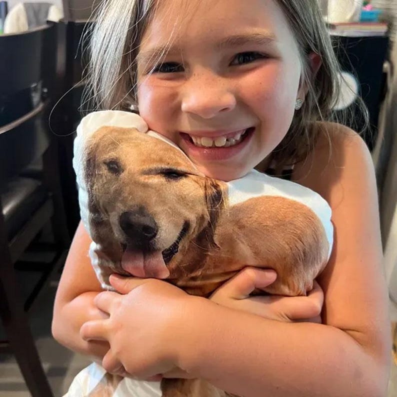 May include: A plush pillow featuring a smiling golden retriever dog. The pillow has a white background and a brown and tan dog image. The pillow is being held by a smiling child.