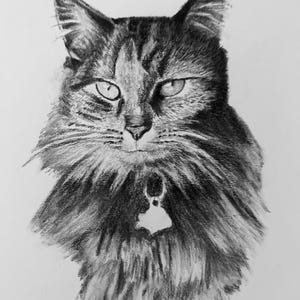 Custom Pet Portrait Drawing – Hand Drawn Ink Illustration of Your Dog, Cat, or Pet – Personalized Animal Art Gift