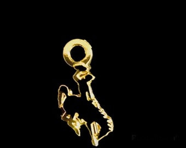 Gold Wyoming Bucking Horse charms, licensed charms, steamboat image 4