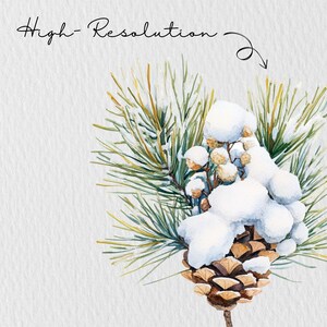 K&ouml;nnte beinhalten: Aquarellillustration eines Tannenzapfens, Tannennadeln und Schnee. Der Tannenzapfen ist braun, und die Nadeln sind gr&uuml;n und gelb. Der wei&szlig;e Schnee bedeckt den Tannenzapfen und die Zweige. Der Text "High-Resolution" ist kursiv geschrieben.