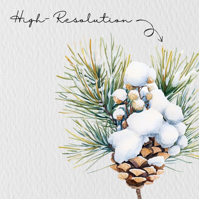 K&ouml;nnte beinhalten: Aquarellillustration eines Tannenzapfens, Tannennadeln und Schnee. Der Tannenzapfen ist braun, und die Nadeln sind gr&uuml;n und gelb. Der wei&szlig;e Schnee bedeckt den Tannenzapfen und die Zweige. Der Text "High-Resolution" ist kursiv geschrieben.