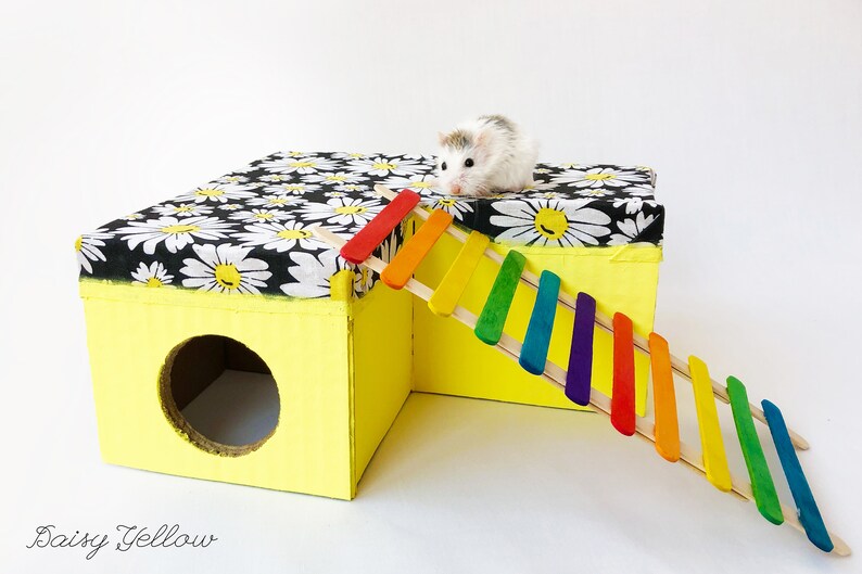 3 room hamster house with ladder Etsy