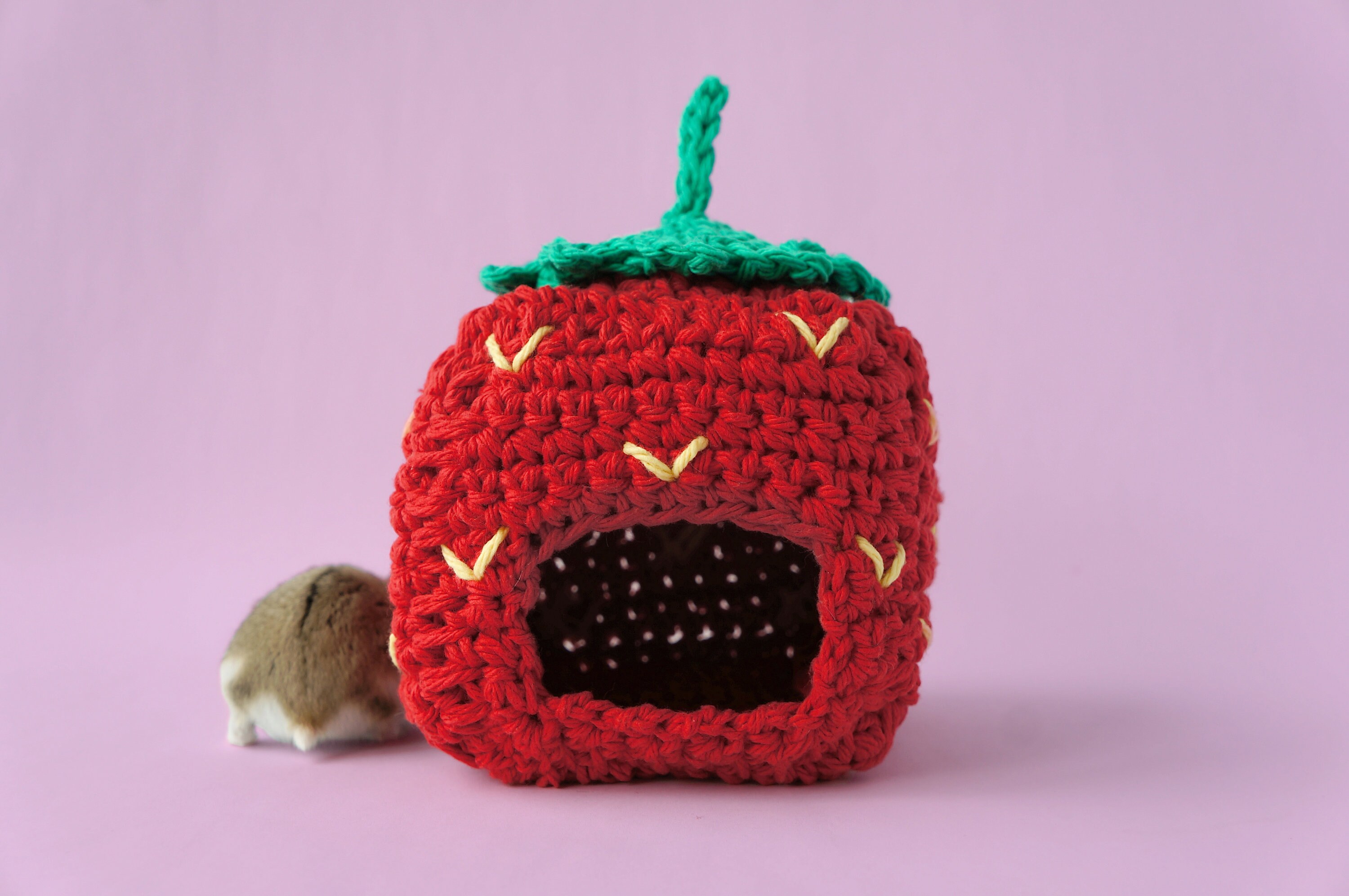 Hamster strawberry shop hideout