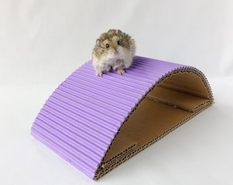 hamster bridge