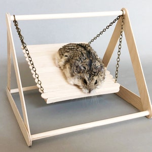 Fancy hamster swing