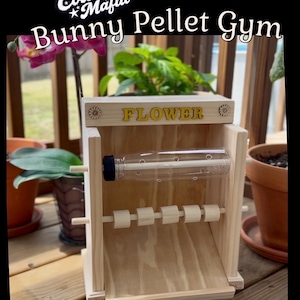 Bunny Pellet Gym