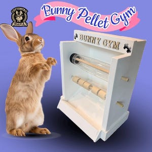 May include: A white wooden bunny gym with a clear tube and wooden dowels, labeled "Bunny Gym." A brown rabbit stands next to the gym. The text "Bunny Pellet Gym" is above the gym in a pink banner.