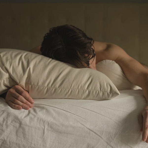 Organic Kapok Pillow: Vegan Plant-Based Bed Pillow, Handmade in USA