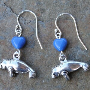 Manatee Love Earrings pewter dugong charms, blue glass heart beads, sterling silver hooks ocean, beach, sea cow image 2