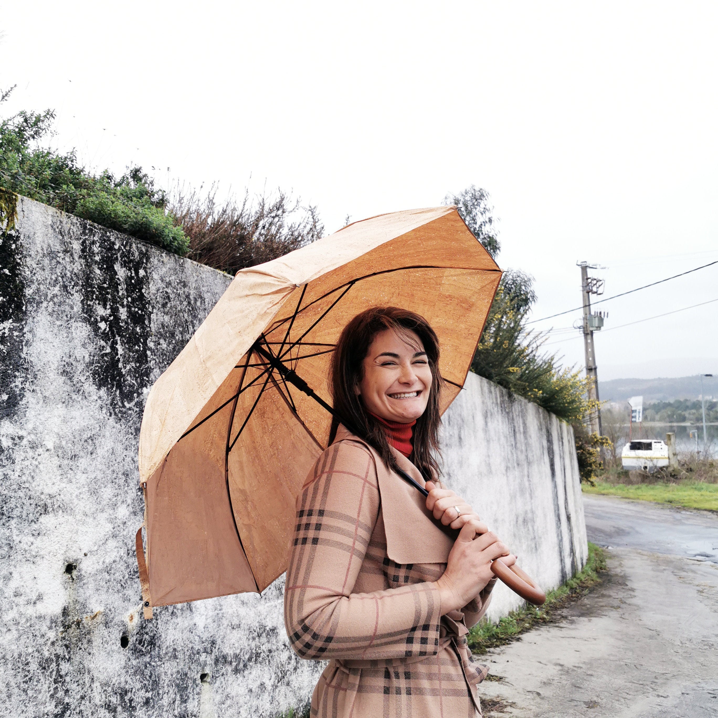 Wooden Handle Umbrella 