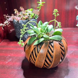 Maceta elíptica geométrica - Diseño moderno en forma de esfera