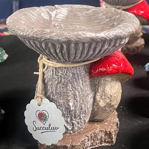 Mini-Vogeltränke/Vogelhäuschen mit Pilz-Akzent