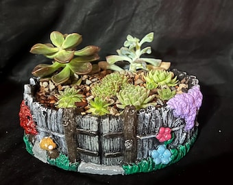 Fairy Garden (omheinde) succulente plantenbak