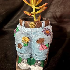 May include: A blue ceramic planter shaped like a pair of jeans with a brown belt and colorful flowers. A succulent plant with yellow-green leaves is growing in the planter.