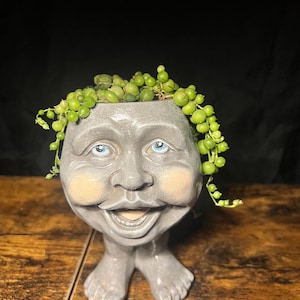 Puede incluir: Un macetero de cerámica gris en forma de cara sonriente con ojos azules y una planta suculenta verde que crece en la parte superior.