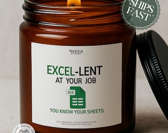 Lustige Tabelle Kerze Buchhalter Geschenk für Excel Liebhaber Daten analytiker CPA Kerze für Büro Humor Wertschätzung Büro Kerze Geschenk C-086