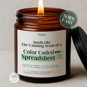 May include: A lit brown glass jar candle with a black lid. The candle's label reads "Smells Like The Calming Scent of a Color Coded Spreadsheet." The candle is made with natural soy wax and is 113 grams.