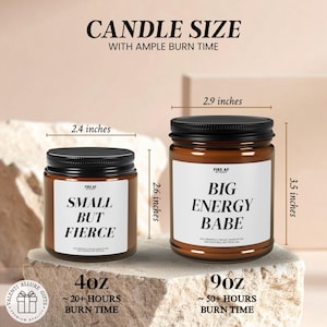 Writer Gift Candle Funny Soy Candle for Authors, Perfect Author Quote Candle Gift for Birthdays Holidays Author Gift New Book Creative C-202 image 7