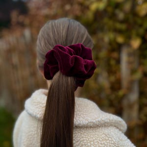 Può includere: Un elastico per capelli in velluto bordeaux che tiene una lunga coda di cavallo marrone.