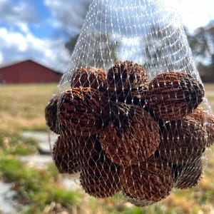 May include: A mesh bag filled with brown walnuts, suspended against a backdrop of a blue sky with fluffy white clouds. The walnuts have a textured surface and are in a clear net bag. A red building is visible in the background.