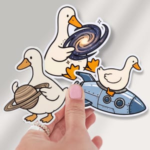 May include: Three die-cut vinyl stickers featuring cartoon ducks. One duck holds a spiral galaxy, another holds a ringed planet, and the third sits atop a blue rocket ship. The stickers have white borders and are illustrated in a flat, colorful style.