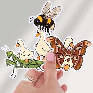 May include: Three die-cut stickers featuring cartoon ducks interacting with insects. One duck carries a large bumblebee, another rides a green praying mantis, and the third wears a large brown moth with patterned wings like a costume.