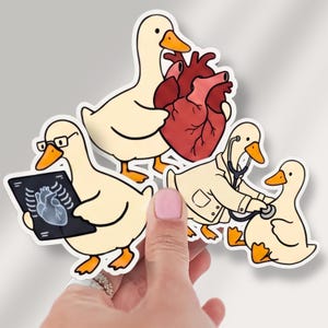 May include: Three die-cut stickers featuring cartoon ducks in medical roles. One duck holds a large red anatomical heart, another wears glasses and examines a chest X-ray, and a third duck uses a stethoscope to listen to another duck.