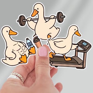 Funny Workout Goose Sticker Cute Gym Duck Kiss Cut Decal Fun Exercise Decor Gift Silly Strength Training 2 Inch Fitness Trainer Laptop Vinyl