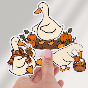 May include: Three die-cut stickers featuring white ducks with orange beaks and feet. One duck wears a plaid scarf and holds a coffee cup, another stands among orange pumpkins, and the third places a small pumpkin into a woven basket.