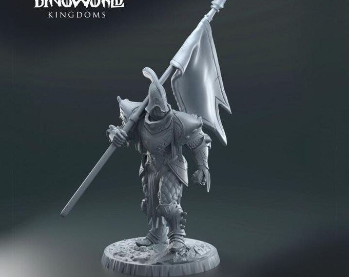 Human Lancer 32mm/28mm (DinoWorld) DnD 5E Gift | RPG Set | Fantasy Gaming RPG | Wargaming Gift | Tabletop Game Set