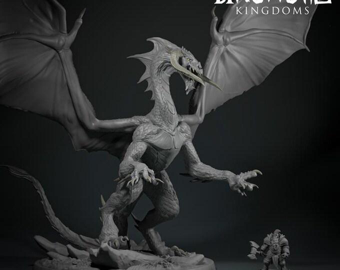 Black Dragon Master 32mm/28mm (DinoWorld) DnD 5E Gift | Fantasy Gaming RPG | Wargaming Gift | Tabletop Game Set | 3D Dragon Gift