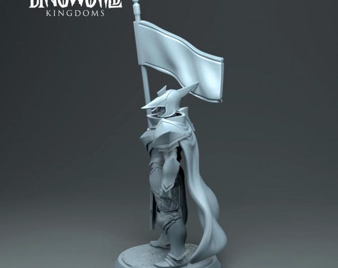 Human Lancer Flag 32mm/28mm (DinoWorld) DnD 5E Gift | RPG Set | Fantasy Gaming RPG | Wargaming Gift | Tabletop Game Set