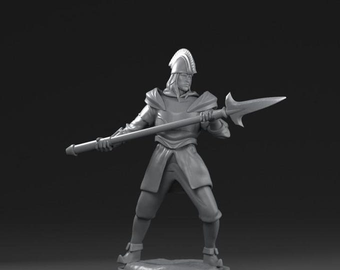 Basic Infantry Orn 32mm/28mm (DinoWorld) DnD 5E Gift | RPG Set | Fantasy Gaming RPG | Wargaming Gift | Tabletop Game Set