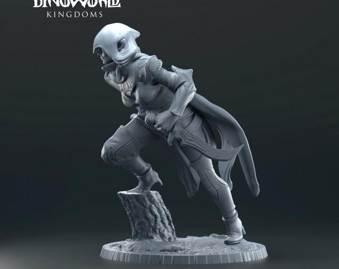 Elf Assassin 32mm/28mm (DinoWorld) DnD 5E Gift | RPG Set | Fantasy Gaming RPG | Wargaming Gift | Tabletop Game Set
