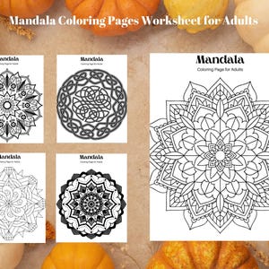 Adult Mandala Coloring Printables - Relax and Create! - 20 pages