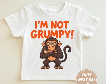 Im Not Grumpy Shirt, Punch Baby Monkey Shirt, Emotional Plush Toy Monkey Tee, Lonely Monkey Graphic T Shirt, Viral Sad Monkey Shirt