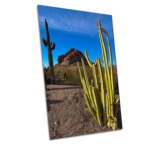 May include: A vibrant photograph of a desert landscape featuring tall cacti under a bright blue sky with wispy clouds. The foreground showcases a cluster of yellow-green cacti, with a large saguaro cactus and a red rock formation in the background.