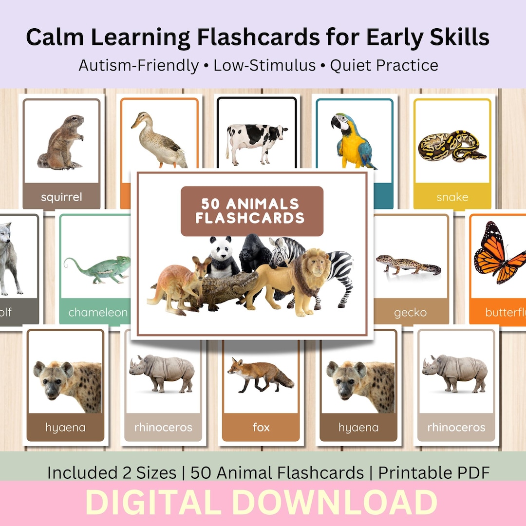 Animal Flashcards for Early Learning, Autism‑friendly Low‑stimulus ...