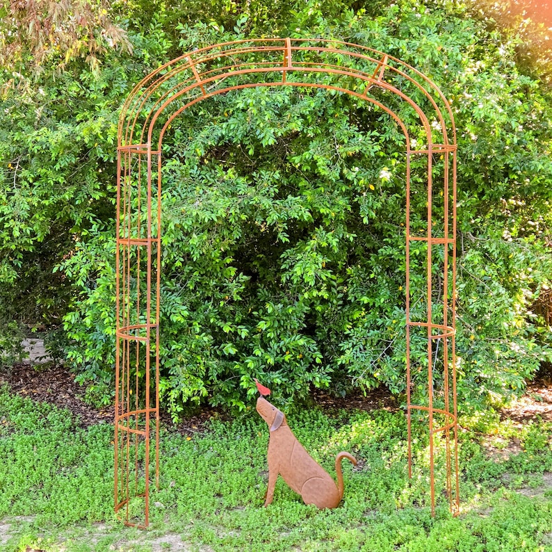 Peut inclure: Une arche de jardin en m&eacute;tal brun rouill&eacute; avec une statue de chien regardant un oiseau rouge. L'arche est faite de barres m&eacute;talliques verticales et arqu&eacute;es. La statue du chien est assise sur l'herbe.