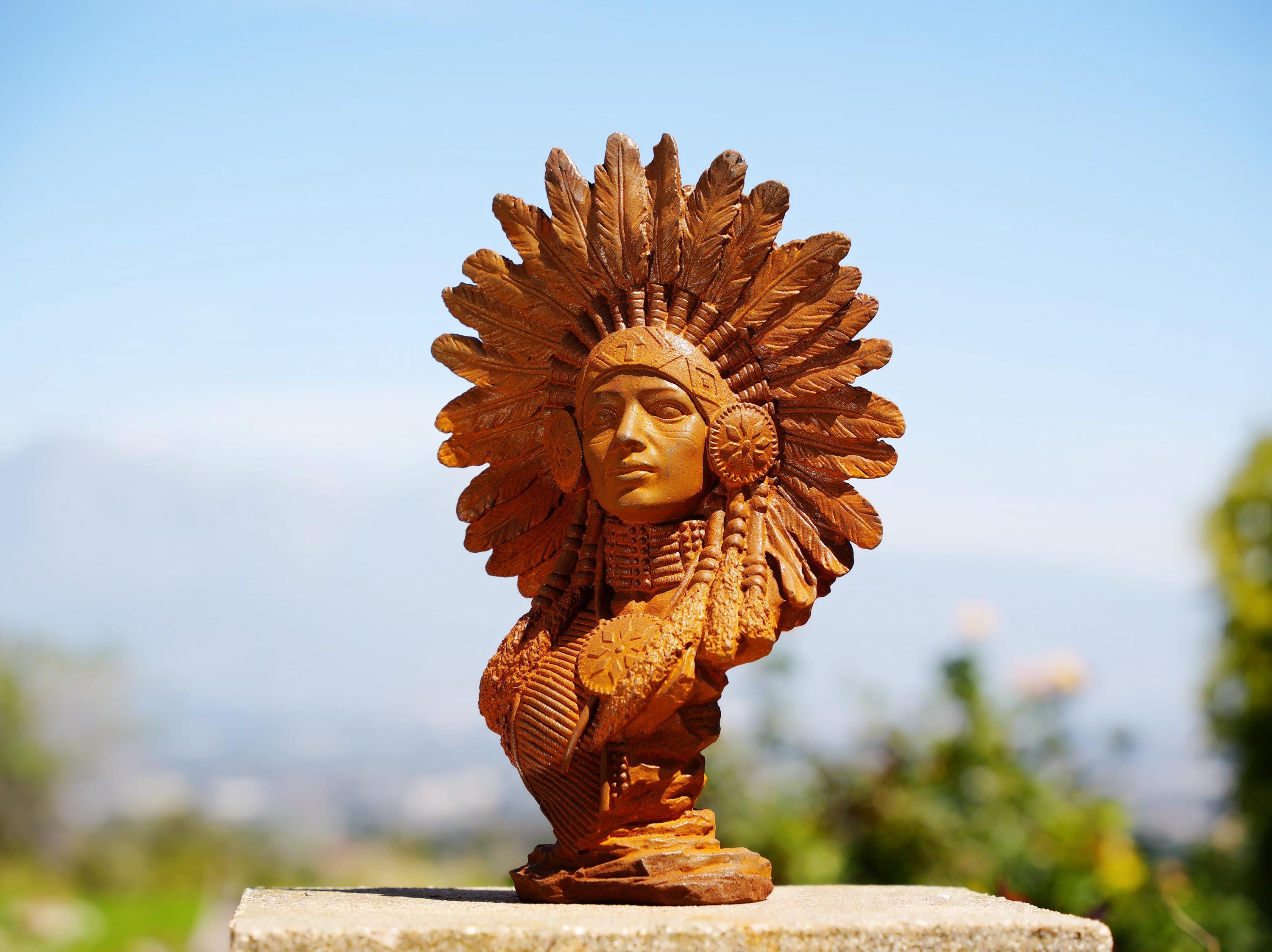 2173❣️ インディアン　女性　オブジェ　看板 Native American Woman The Guardian Eagle Wall Decor Art Print