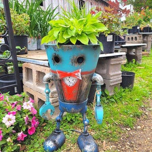 potted plant parenting New Plant Parents Bundle | Money Tree & ZZ Plant main image 1