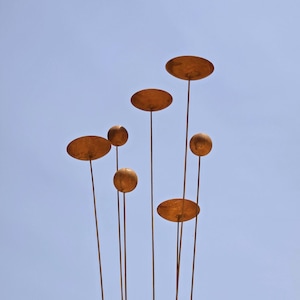 May include: A collection of metal garden art sculptures against a light blue sky. The sculptures feature various shapes, including flat discs and spherical forms, all with a rusty brown finish. The stems are thin and upright, creating a whimsical, natural aesthetic.
