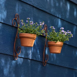 May include: Two terracotta flower pots with purple flowers hang on a blue wall. The pots are held by ornate, rusty-brown metal brackets. The wall has horizontal wood siding.