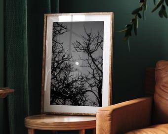Spooky moon & trees photography poster: seasonal decor, fall wall art, spooky vibes print, halloween poster, autumnal home decor gift