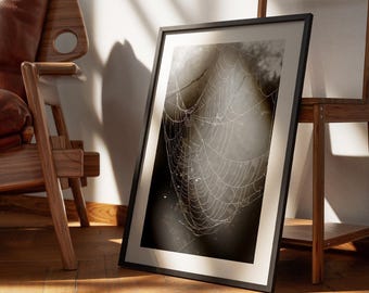 Spider web - photography poster: seasonal decor, fall wall art, spooky vibes print, halloween poster, autumnal home decor gift, spooky art
