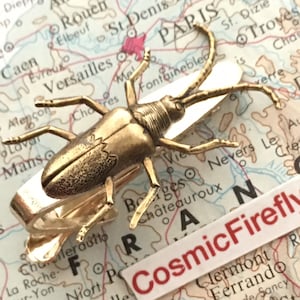 May include: A gold-toned tie clip featuring a detailed beetle design. The clip is set against a map of France with the text "CosmicFirefly" printed on the bottom right corner.