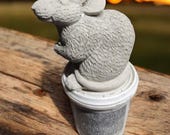 Item from this shop