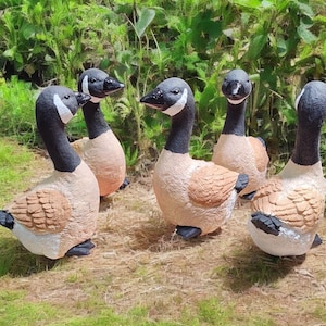 May include: Five realistic-looking, brown and black, goose figurines. The geese are arranged in a circle on a green grassy surface.