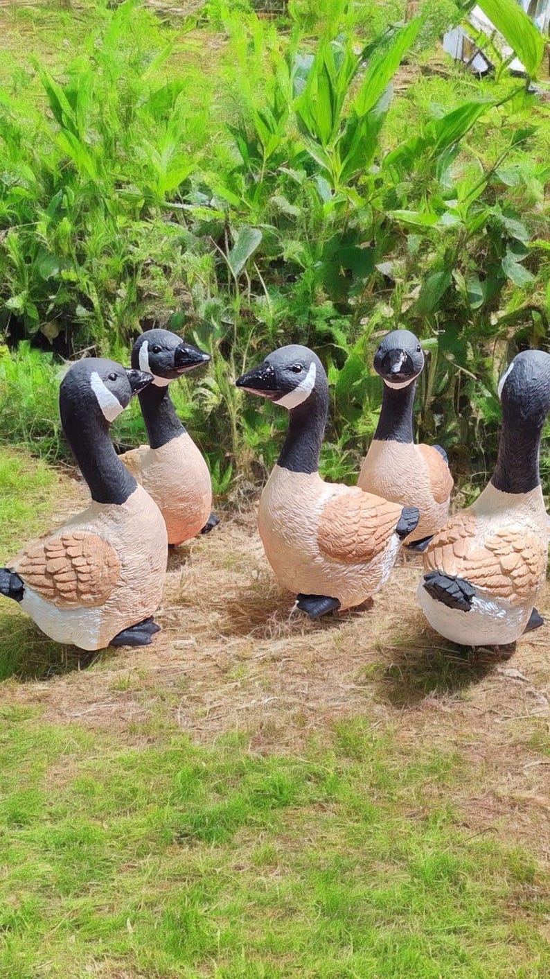 May include: Five realistic-looking, brown and black, goose figurines. The geese are arranged in a circle on a green grassy surface.